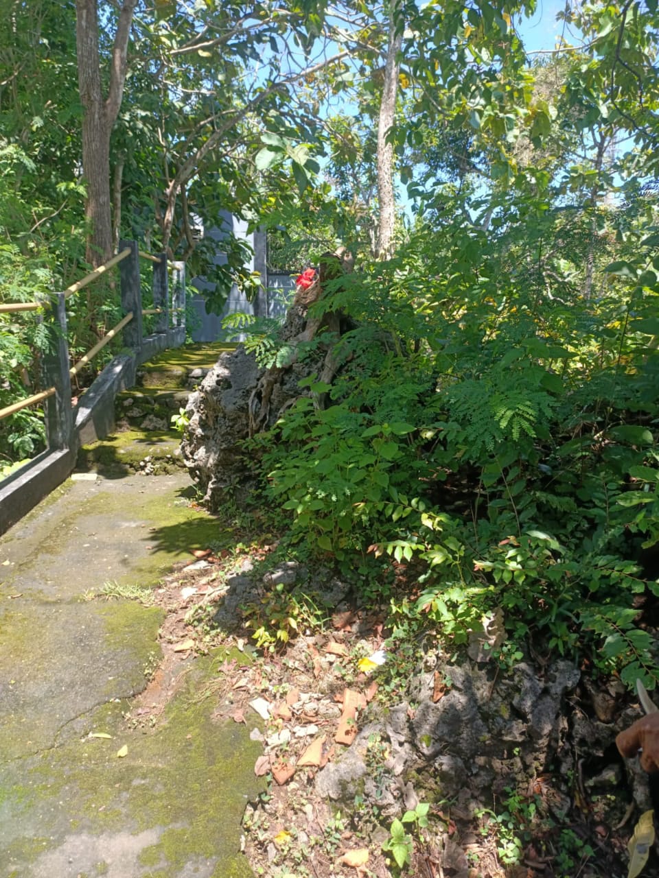 Jual BUC...!!! Dijual Tanah View Lokasi di Jalan Gedong Sari. Benoa. - Real Estate di Bali & Indonesia