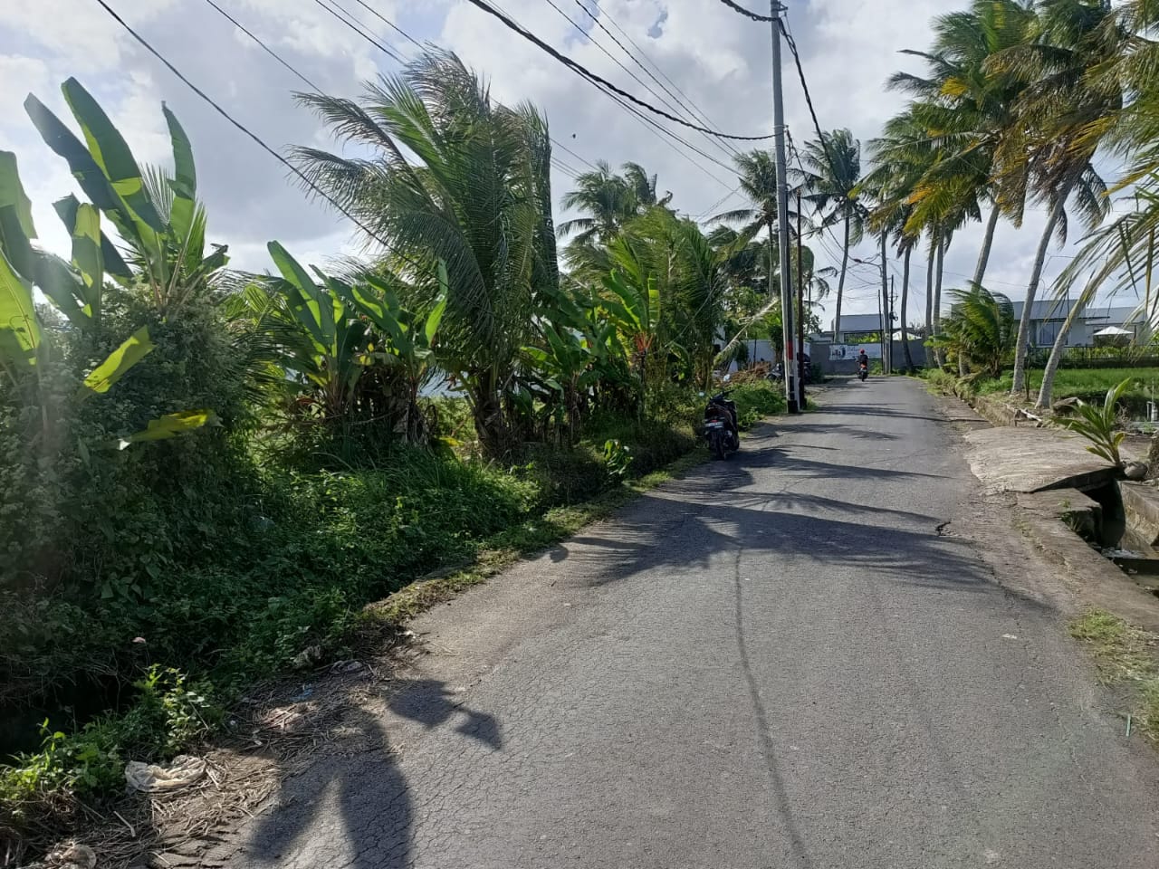 Jual Dijual Tanah View Sawah. Lokasi di Jalan Ir. Sutami. Desa Kemenuh. Sukawati. Gianyar. - Real Estate di Bali & Indonesia