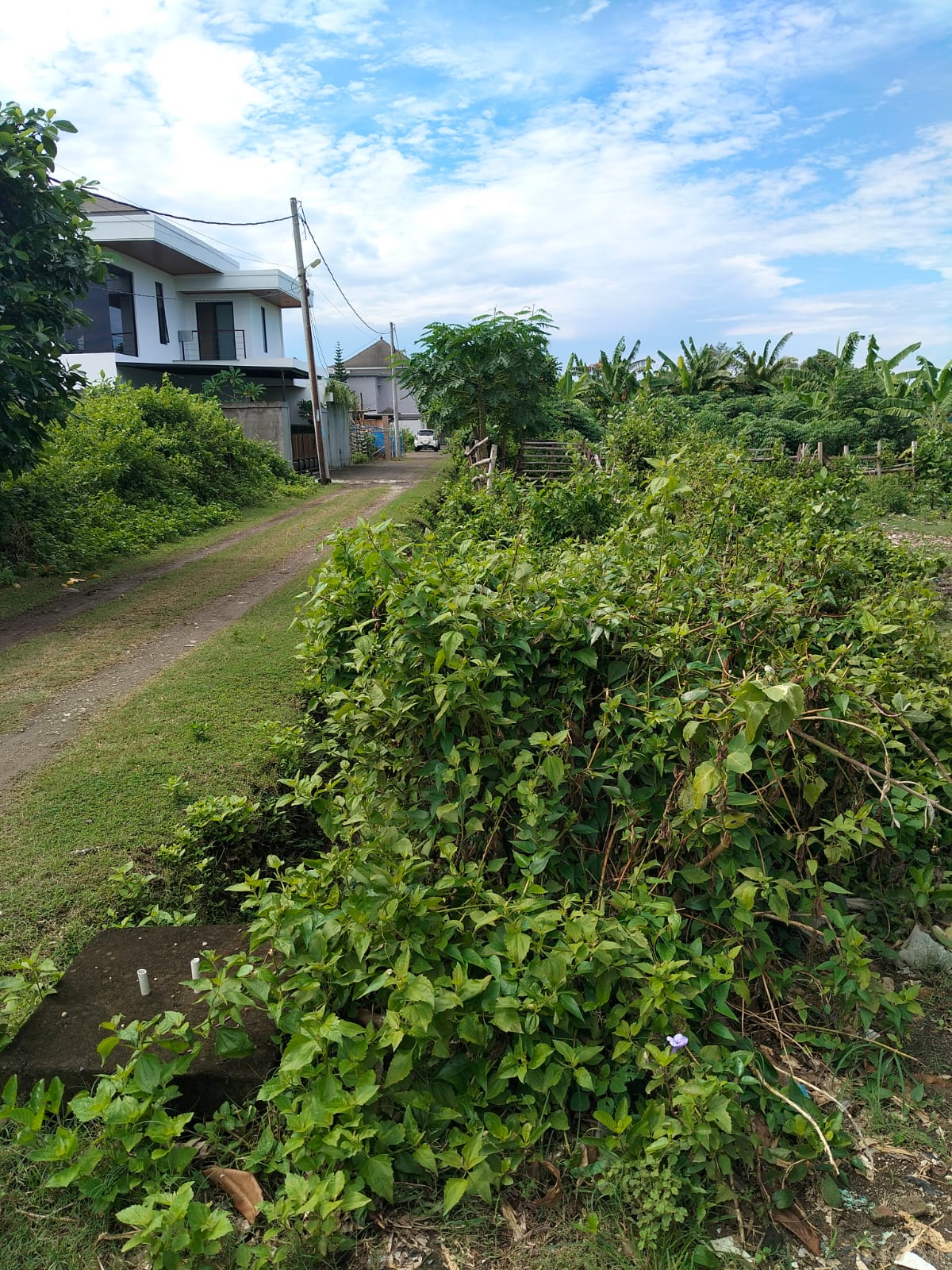 Jual DIJUAL TANAH PANTAI NYANGNYANG ULUWATU BADUNG, BALI. - Real Estate di Bali & Indonesia
