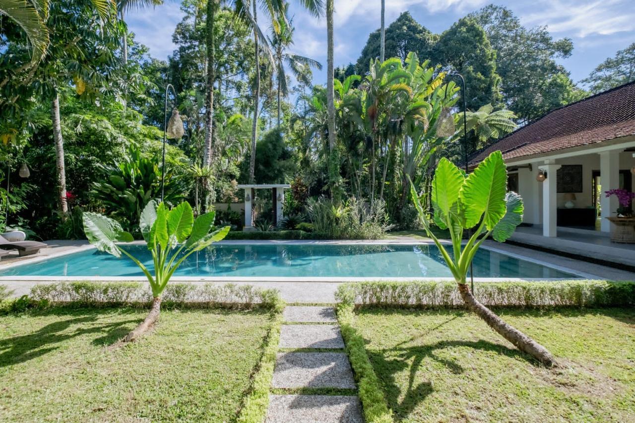 Jual SUPER BUC !!! DIJUAL VILLA MASIH OPERATIONAL LOKASI BRESELA PAYANGAN UBUD BALI DEKAT THE KAYON jungle Freehold villa at Ubud - Real Estate di Bali & Indonesia