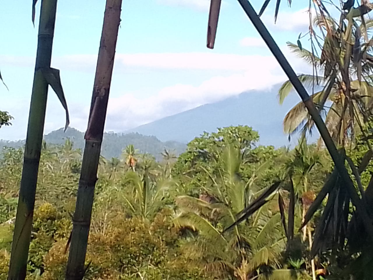 Jual LAHAN DIJUAL  Puhu Payangan - Real Estate di Bali & Indonesia