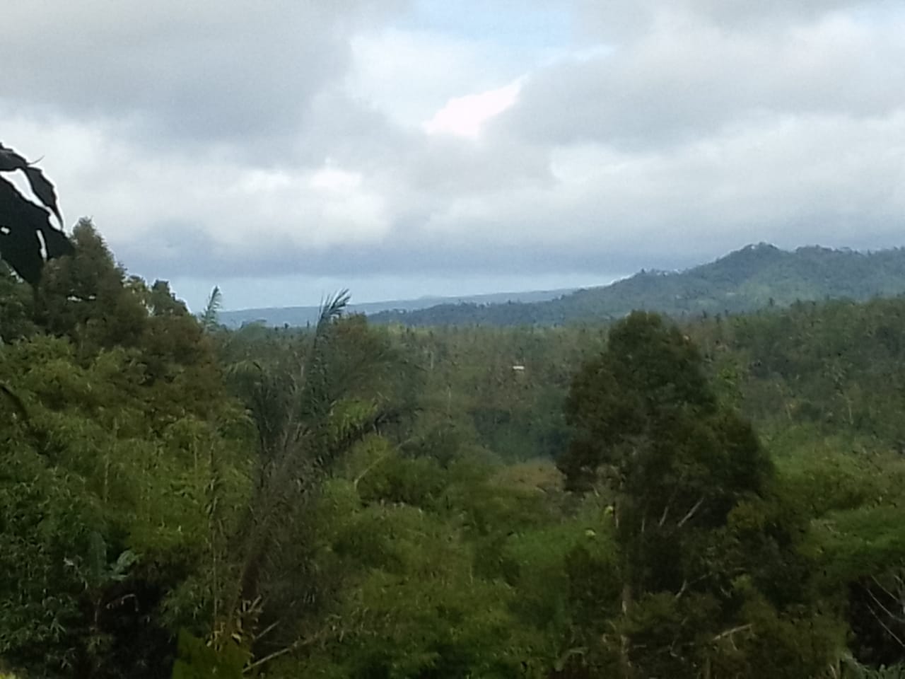 Jual LAHAN DIJUAL  Puhu Payangan - Real Estate di Bali & Indonesia