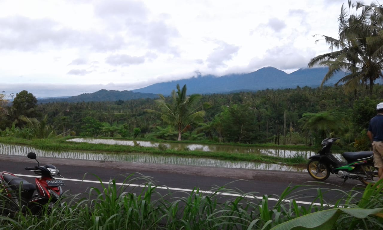 Jual LAHAN DIJUAL  Puhu Payangan - Real Estate di Bali & Indonesia