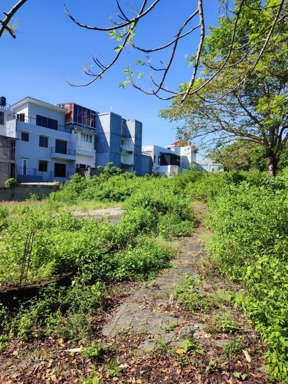 Mengapa Kawasan Utara & Timur Bali Akan Menjadi Sasaran Investasi Properti Berikutnya? - Properti Indonesia