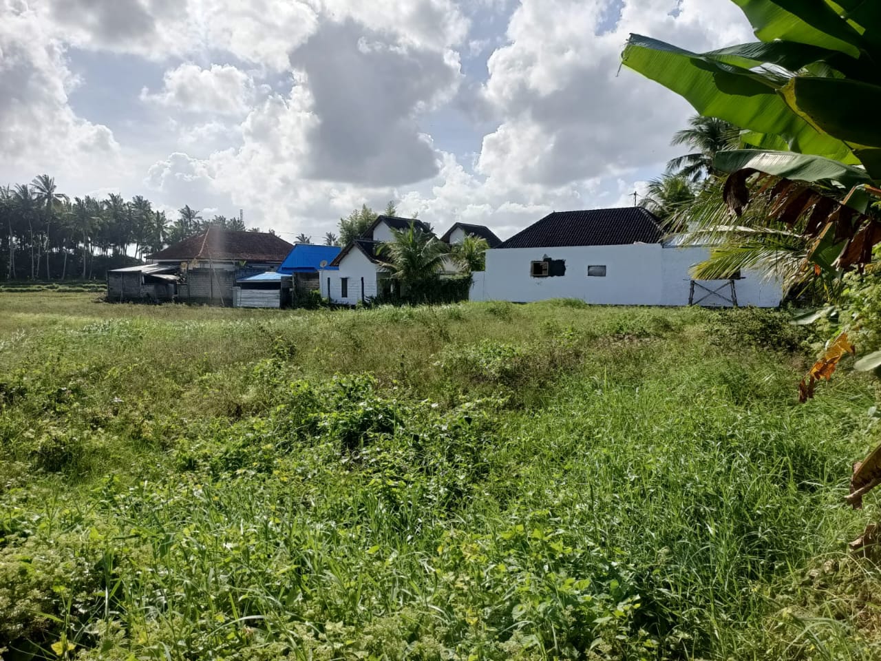 Tanah Kavling Murah di Jembrana: Peluang Investasi Properti Tersembunyi di Bali Barat - Wawasan Sudiantara Properti