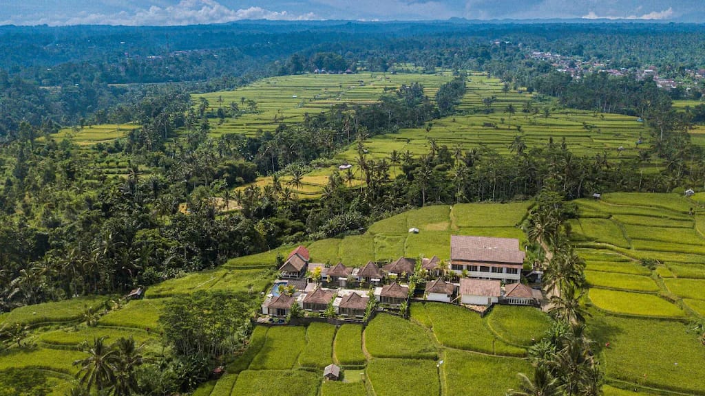 Hunian Mewah di Tabanan: Menemukan Kedamaian di Tengah Hamparan Sawah Bali - Properti Indonesia